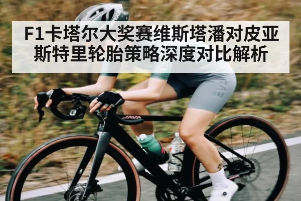 F1卡塔尔大奖赛维斯塔潘对皮亚斯特里轮胎策略深度对比解析 - kaiyun sports